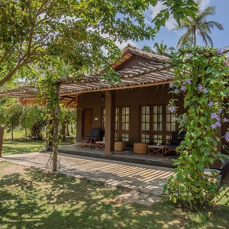 Club Mango Resort Kalpitiya Ngoại thất bức ảnh